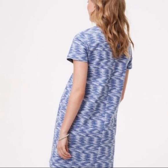 [Loft] Classic Blue Shirt Dress - Picture 5 of 5